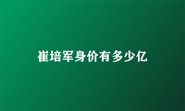 崔培军身价有多少亿