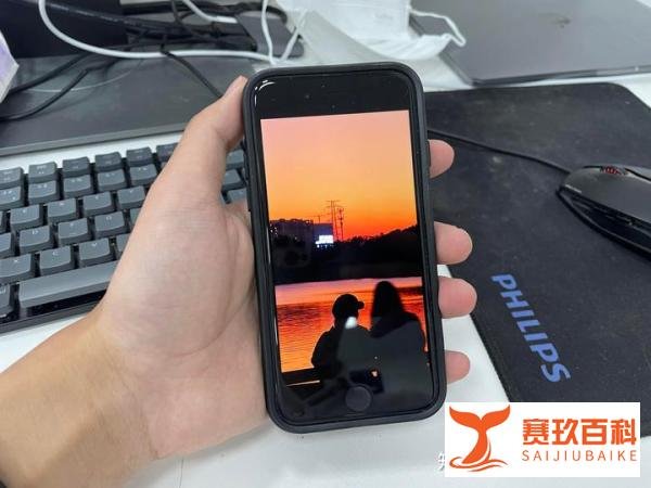 iPhone SE 2022半年使用评测：你买我不推荐，我买我真买