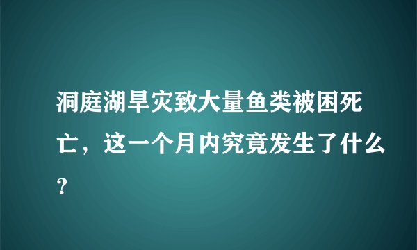 洞庭湖旱灾致大量鱼类被困死亡，这一个月内究竟发生了什么？
