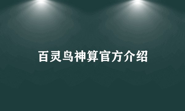 百灵鸟神算官方介绍