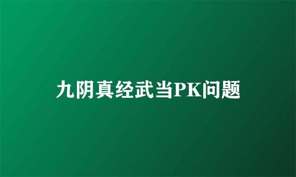九阴真经武当PK问题
