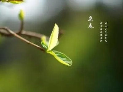 立春8字短句是什么？