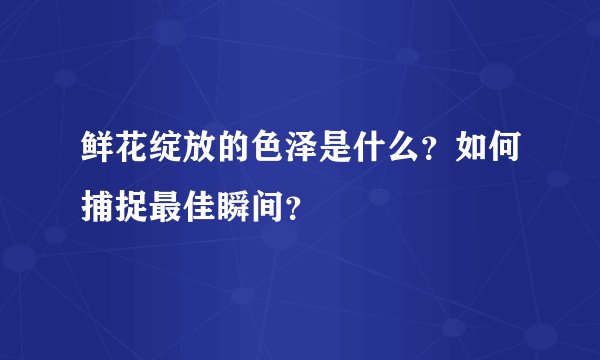 鲜花绽放的色泽是什么？如何捕捉最佳瞬间？