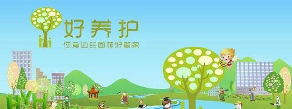 这花叫苔藓玫瑰,太美了!