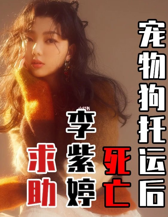 女星宠物狗托运死亡事件背后,折射出了哪些宠物托运行业的乱象?
