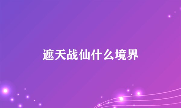 遮天战仙什么境界