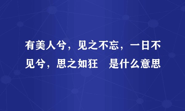 有美人兮，见之不忘，一日不见兮，思之如狂 是什么意思