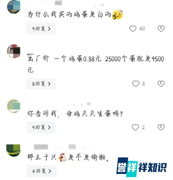 夫妻养2.8万只鸡，为省人工成本自己捡蛋，1分钟徒手捡180个蛋！