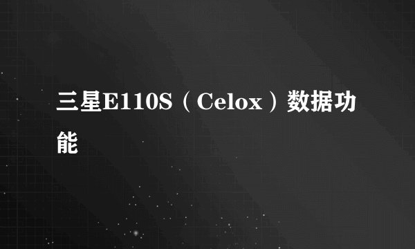 三星E110S（Celox）数据功能