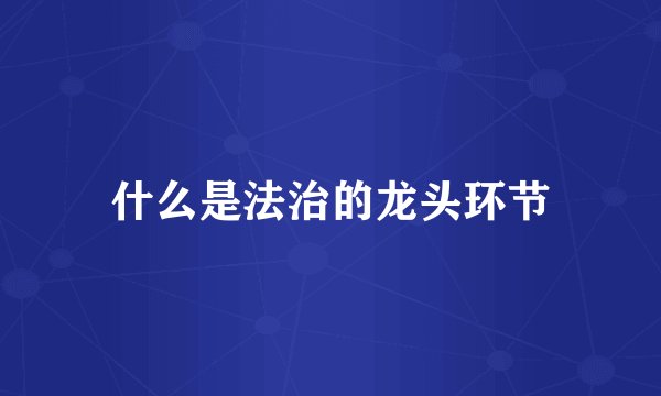 什么是法治的龙头环节