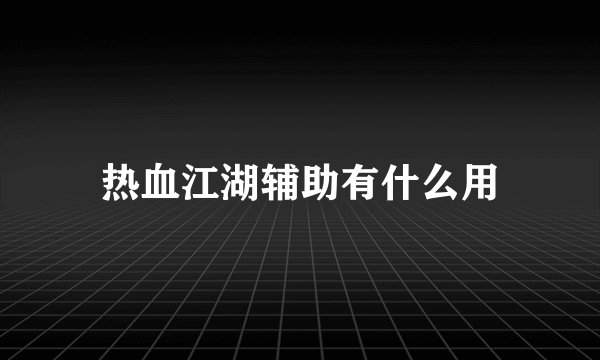 热血江湖辅助有什么用