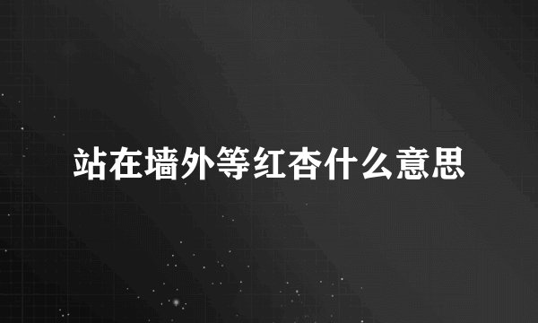 站在墙外等红杏什么意思