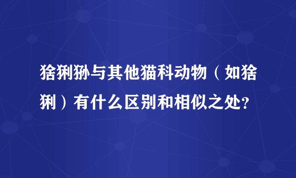 猞猁狲与其他猫科动物（如猞猁）有什么区别和相似之处？