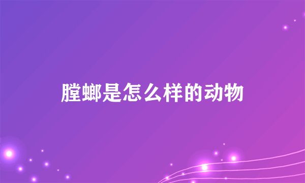 膛螂是怎么样的动物