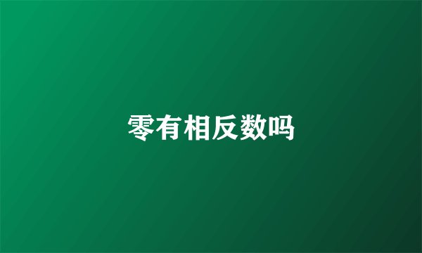 零有相反数吗