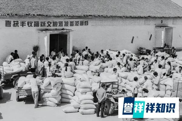 政协委员提案：上调农民养老金，每人每月至少100元。应该1000元