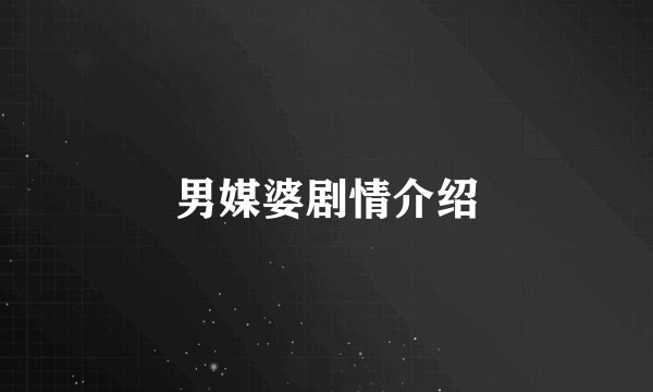 男媒婆剧情介绍