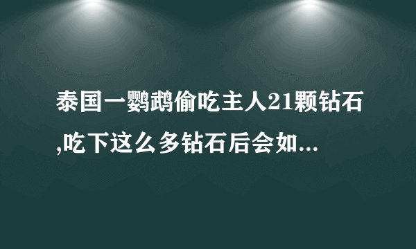 泰国一鹦鹉偷吃主人21颗钻石,吃下这么多钻石后会如何影响鹦鹉的...
