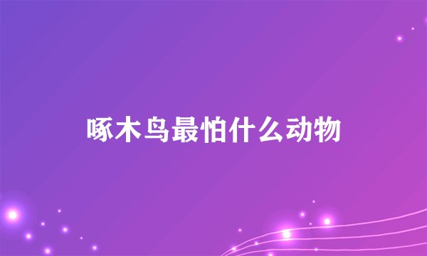 啄木鸟最怕什么动物
