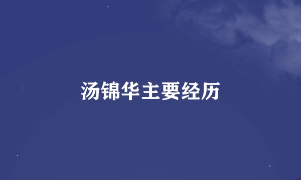 汤锦华主要经历