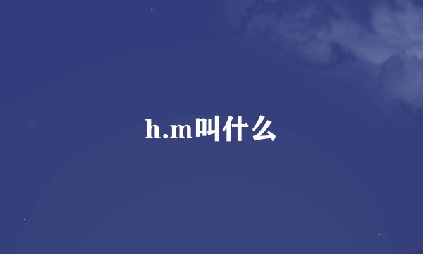 h.m叫什么