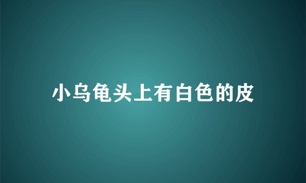 小乌龟头上有白色的皮
