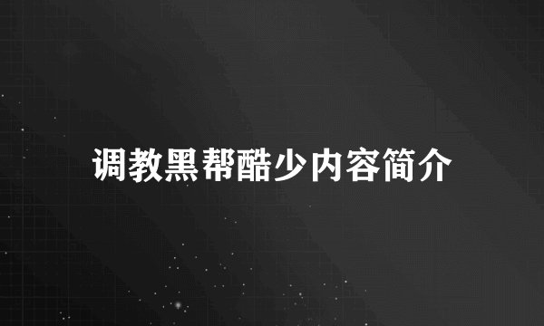 调教黑帮酷少内容简介