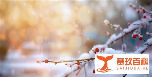 立春后下雪民间的说法:具体有什么说法?有什么寓意?