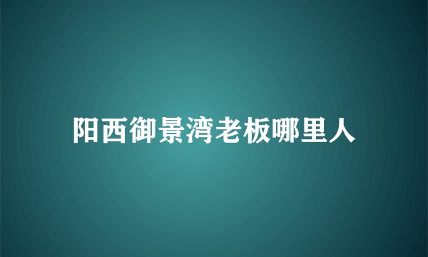 阳西御景湾老板哪里人