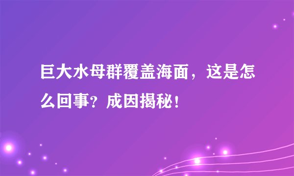 巨大水母群覆盖海面,这是怎么回事?成因揭秘!