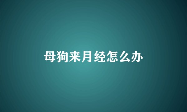 母狗来月经怎么办