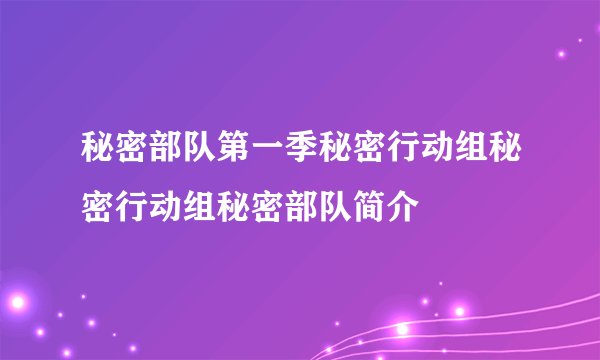 秘密部队第一季秘密行动组秘密行动组秘密部队简介