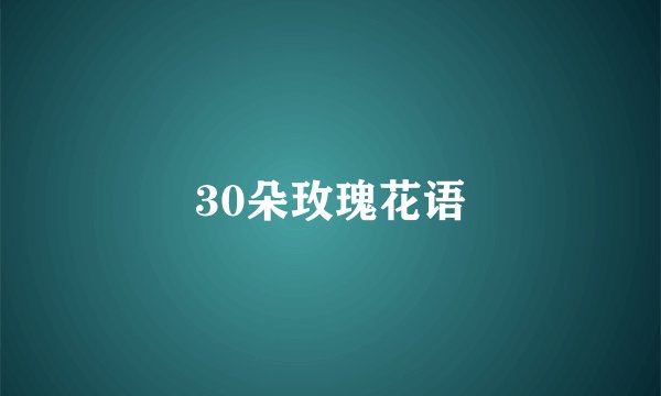 30朵玫瑰花语