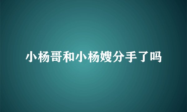 小杨哥和小杨嫂分手了吗
