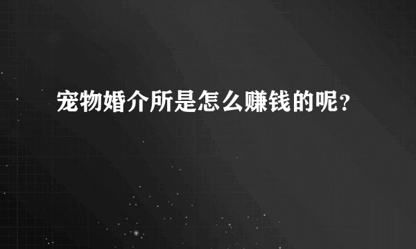 宠物婚介所是怎么赚钱的呢？