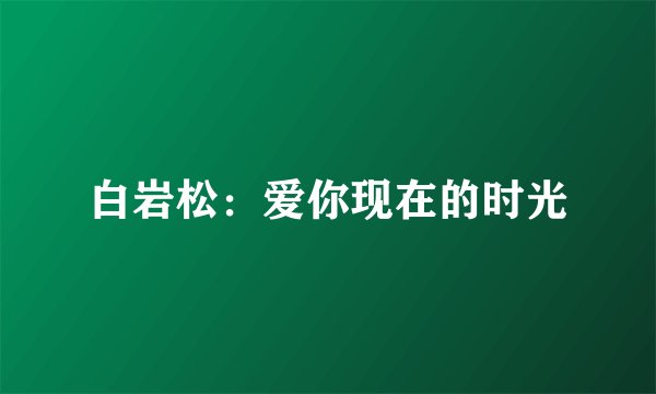 白岩松：爱你现在的时光