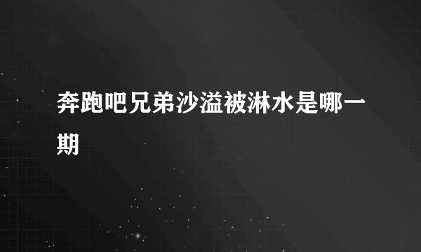奔跑吧兄弟沙溢被淋水是哪一期