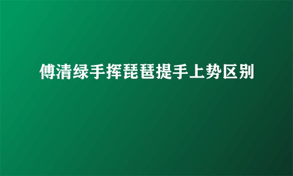 傅清绿手挥琵琶提手上势区别