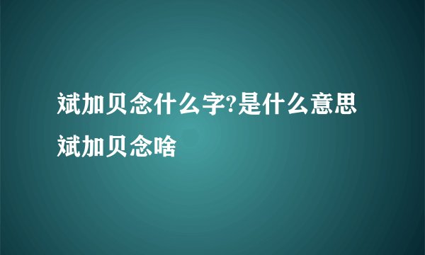 斌加贝念什么字?是什么意思 斌加贝念啥