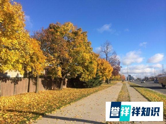 去加拿大申请硕士条件
