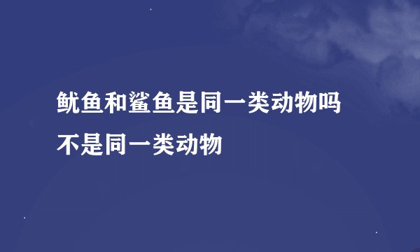 鱿鱼和鲨鱼是同一类动物吗 不是同一类动物
