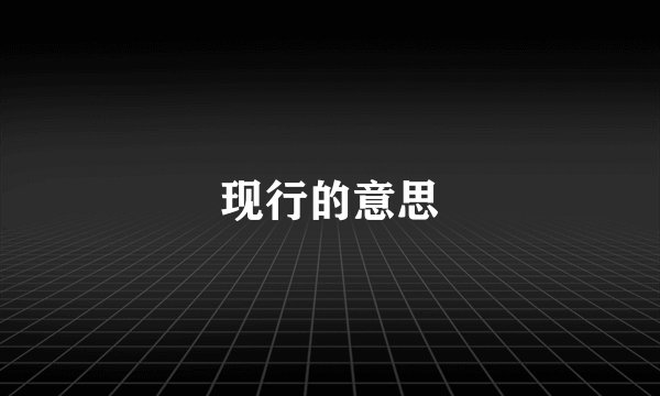 现行的意思