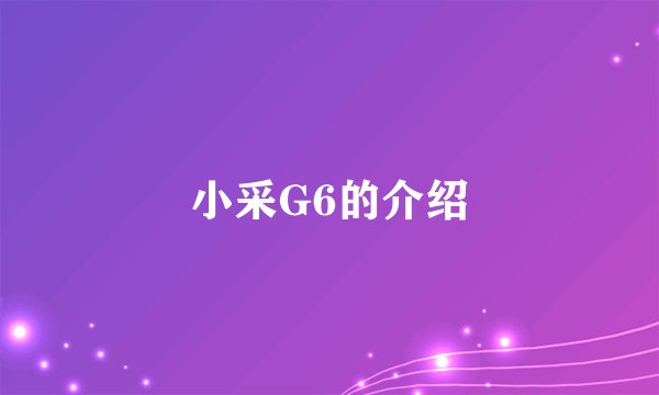 小采G6的介绍