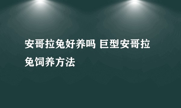 安哥拉兔好养吗 巨型安哥拉兔饲养方法