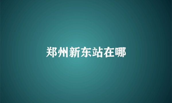 郑州新东站在哪