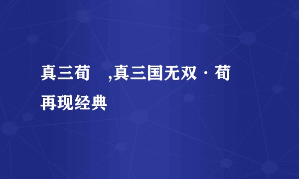 真三荀彧,真三国无双·荀彧再现经典