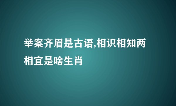 举案齐眉是古语,相识相知两相宜是啥生肖