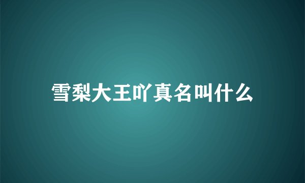 雪梨大王吖真名叫什么