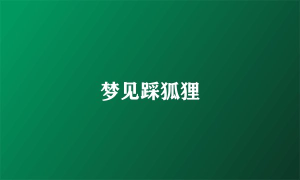 梦见踩狐狸