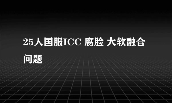 25人国服ICC 腐脸 大软融合问题